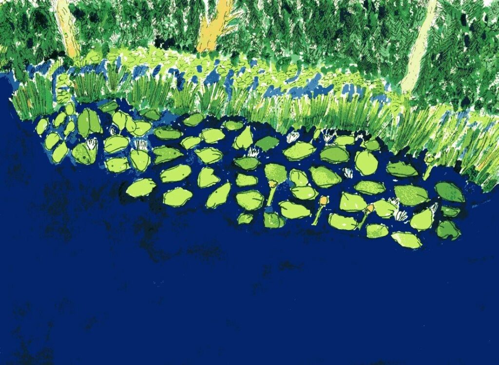 painting of blue water, lillypads and greeen shoreline