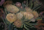 A still life pastel painting of a flower plant in yellows and pale pink