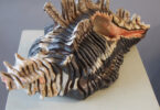 sculpture of ribbed conch shell like shape. Glazed in dark brown/black and lighter colors with a pink tinged inner part