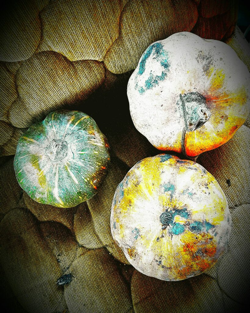 Photograph of 3 round squashes/pumpkins of green/orange/white colors, laid on a cloth 