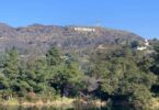 A reservoir that sits in front of the hill with the Hollywood sign in the distance.