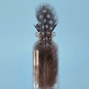 photograph of a glass bottle with feathers in it, with a light blue background