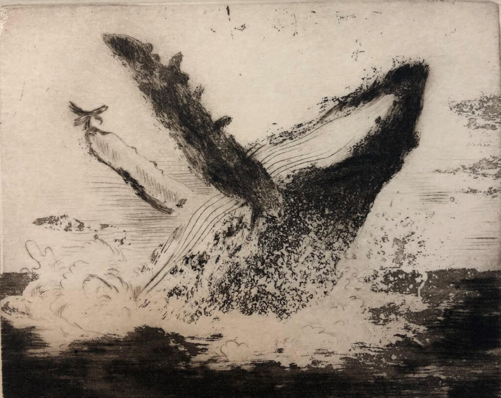 “Fish & Bird,” etching and aquatint